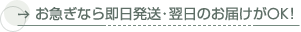 お急ぎなら即日発送・翌日のお届けがOK!